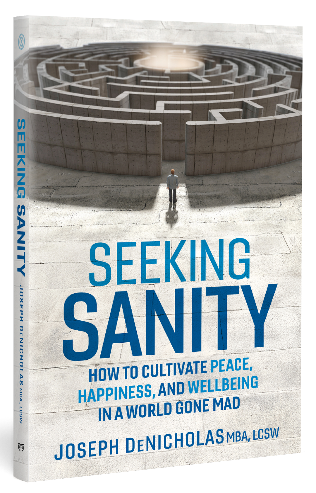 Seeking Sanity: How to Cultivate Peace, Happiness, and Wellbeing in a World Gone Mad — book by Joseph DeNicholas