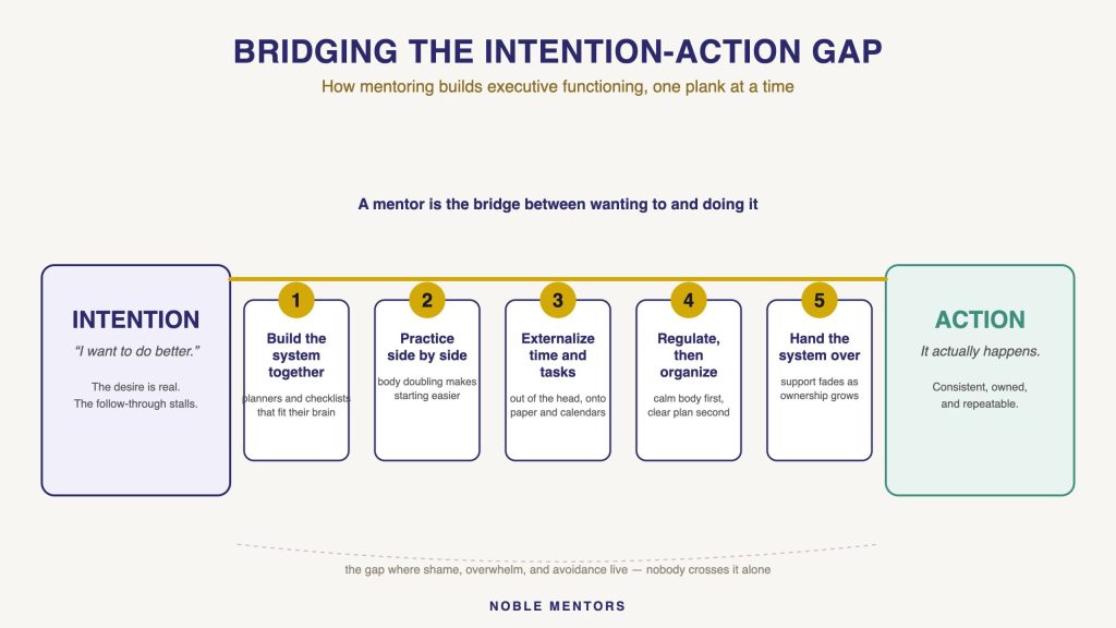 EF Intention-Action Bridge Infographic Infographic: bridging the intention-action gap - five ways mentoring builds executive functioning, from building the system together to handing the system over