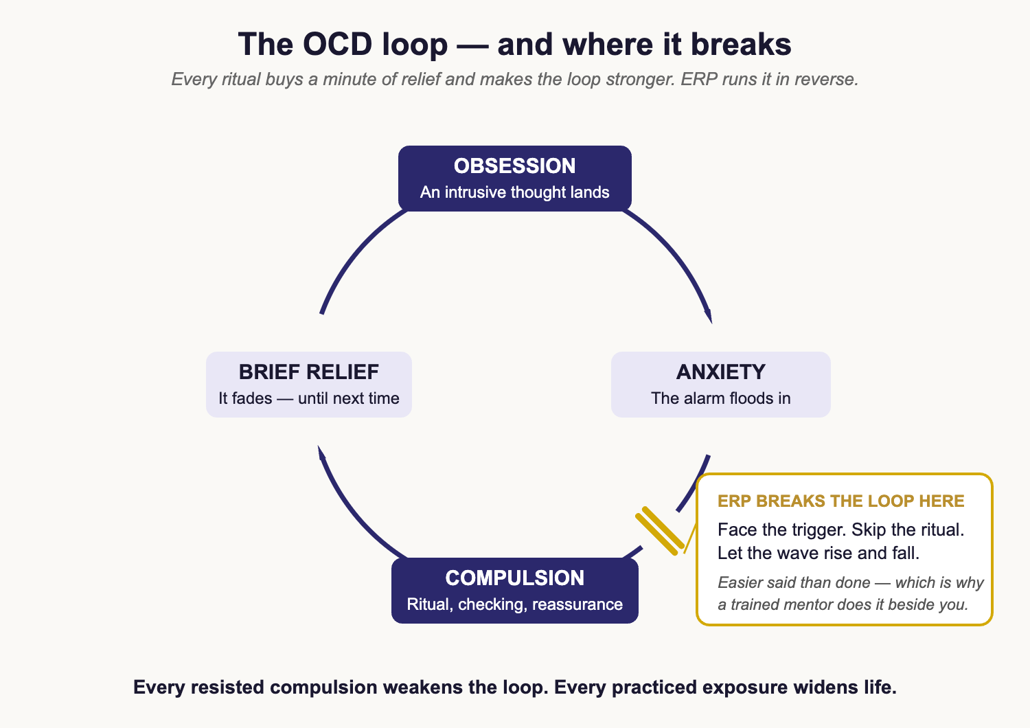 ocd-loop-where-it-breaks Diagram of the OCD loop: obsession, anxiety, compulsion, brief relief — and ERP breaking the loop between anxiety and compulsion